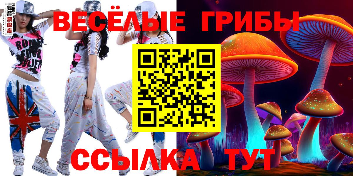 Фролово  Псилоцибиновые грибы мицелий  Вход с VPN 